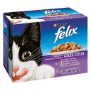 Felix Pâtée Pour Chats Émincés En Gelée Viande Poisson : Les 12 Sachets De 100 G