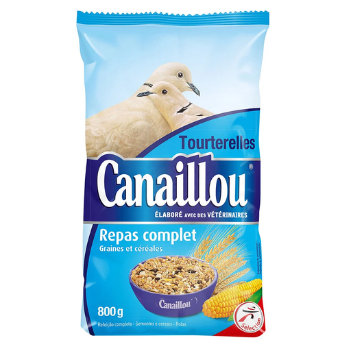 import_3250391112746_1