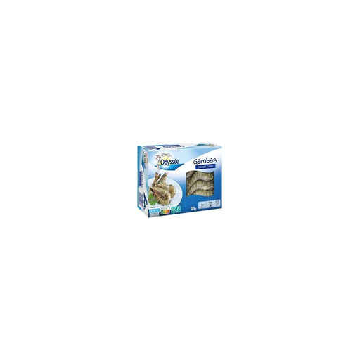 import_3250391422746_1