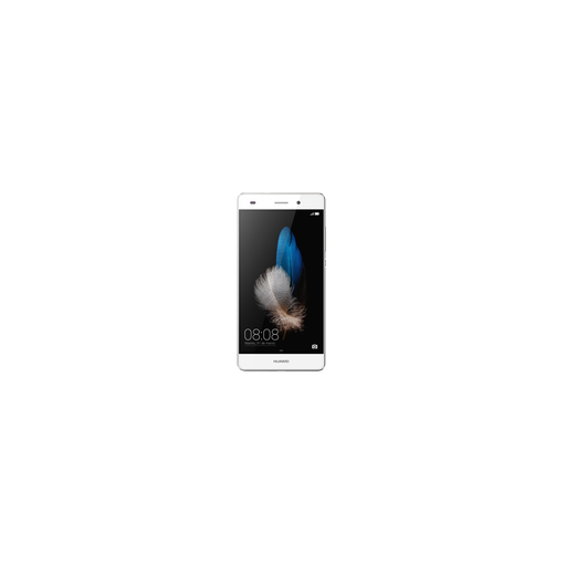 import_6901443056736_1