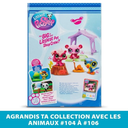 import_3701405822873_3