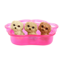 import_0194735012442_1