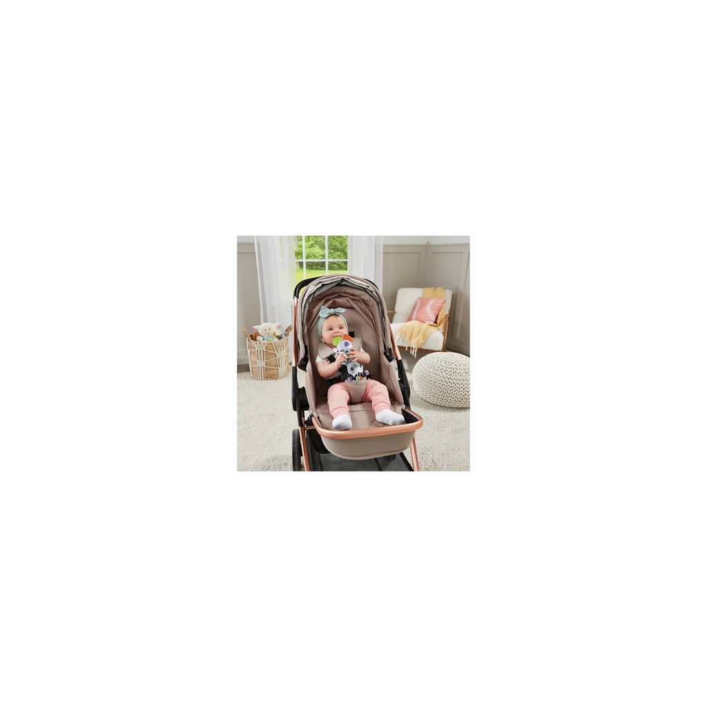 import_3417765672231_2