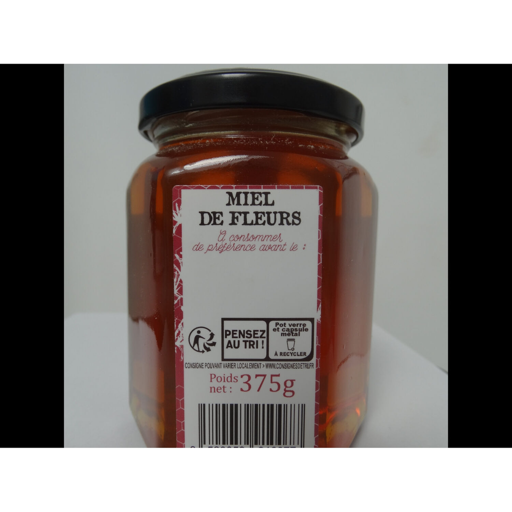 import_3520059910077_1