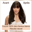 import_3600542518529_3