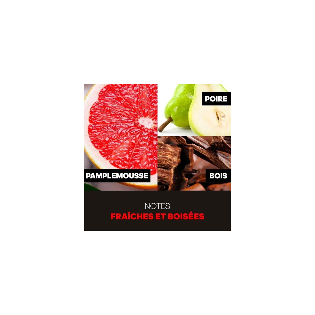 import_3607340725982_1