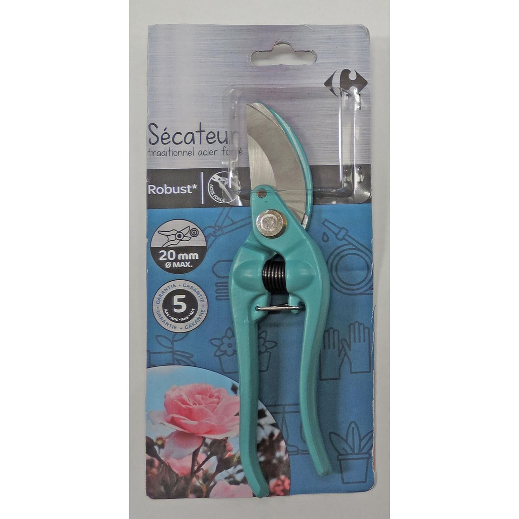 import_3608142923019_1