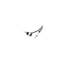 import_3614612119349_1