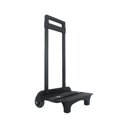 import_3616181904302_1