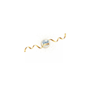 import_3660662029244_3