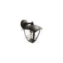 import_3666373851235_2