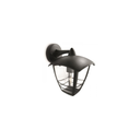 import_3666373851235_3