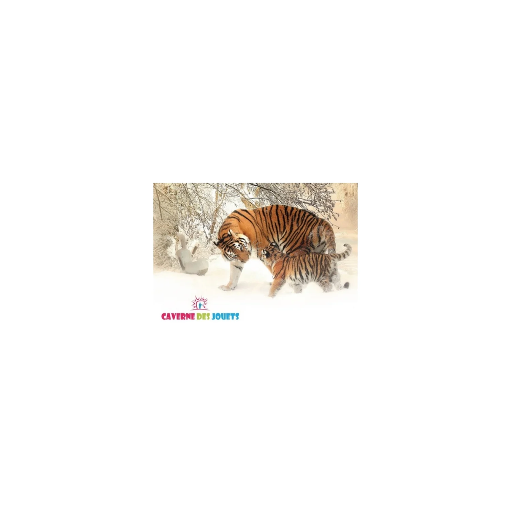 import_3667036107010_1