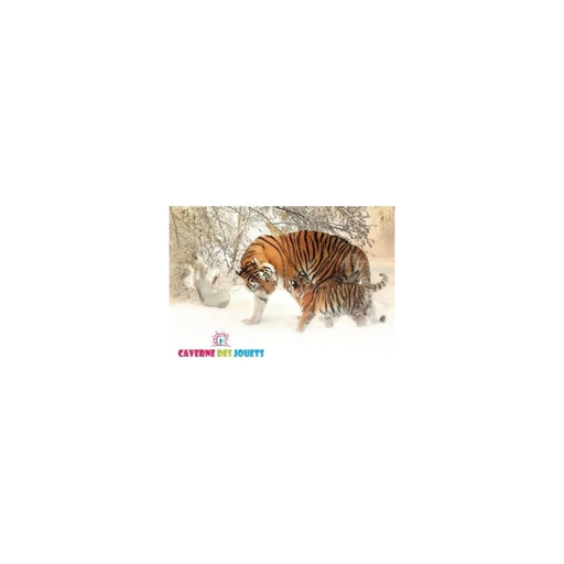 import_3667036157510_1