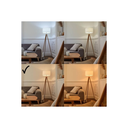 import_4052899195370_2