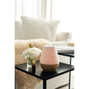 import_4211125606268_5