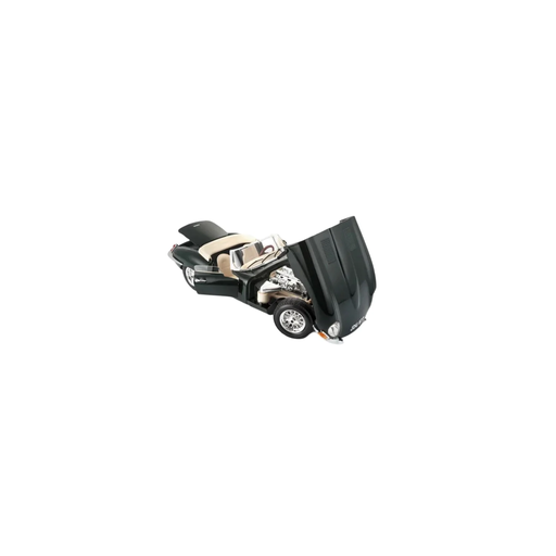 import_4893993004850_1