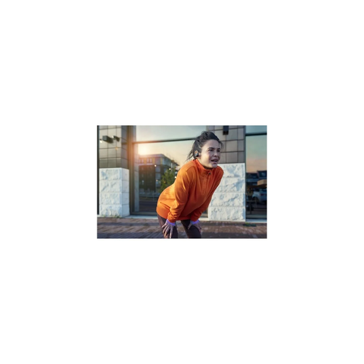 import_4895229117730_1