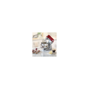 import_5011423003085_2