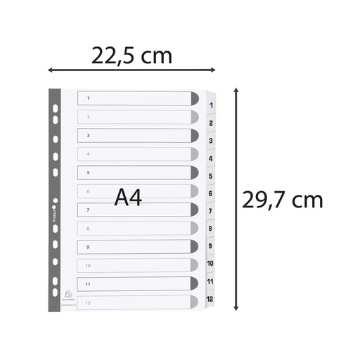 import_5016196103840_1