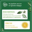 Le Petit Marseillais  Shampoing  Antipelliculaire Cheveux Gras Infusion & Cedrat Bio 250Ml