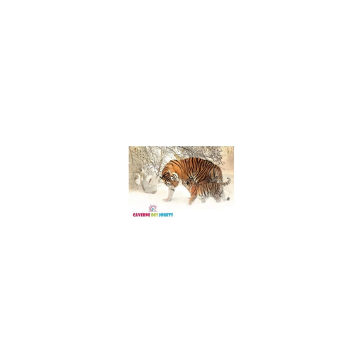 import_5555558087447_1