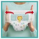 import_8001841461298_5