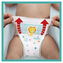 import_8001841516448_3