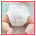 import_8001841715483_5