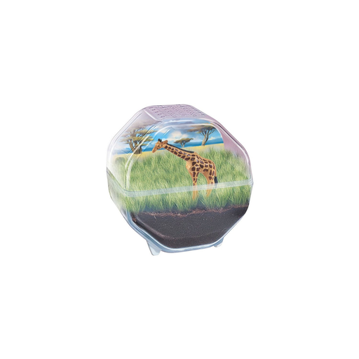 import_8005125194650_1