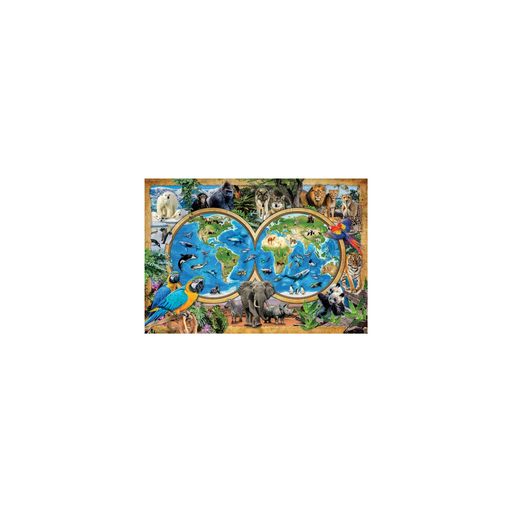 import_8005125217236_1