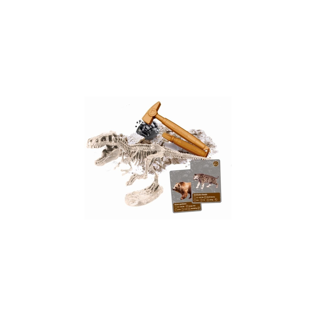 import_8005125527366_3