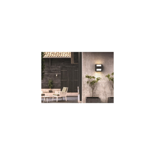 import_8718696131237_1