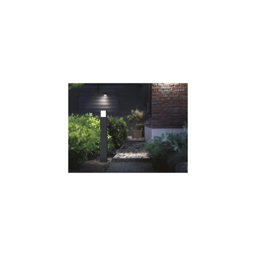 import_8718696150498_1