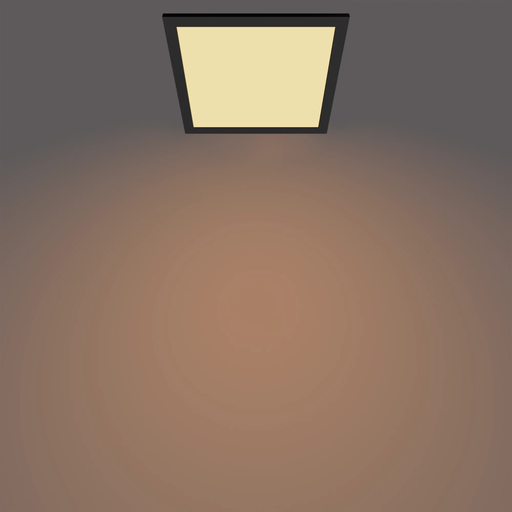 import_8719514326644_1