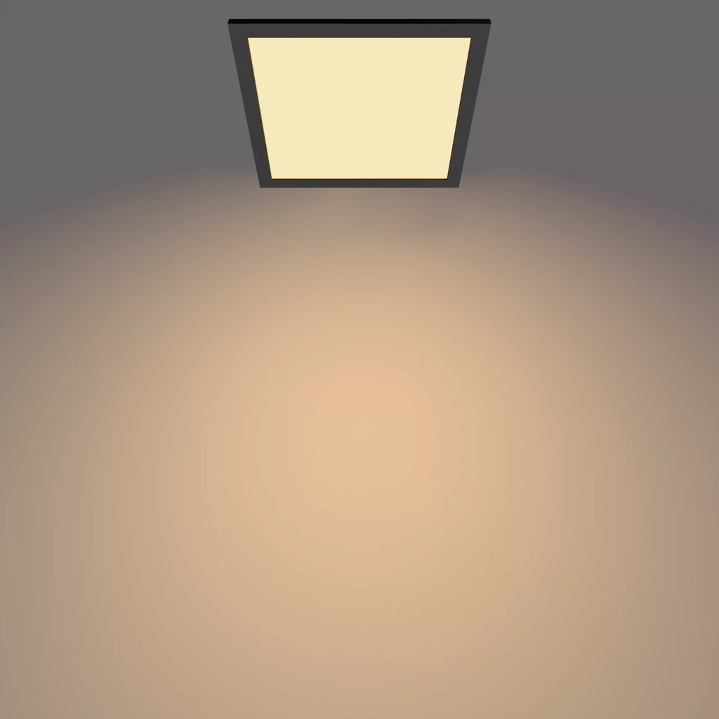 import_8719514326644_2