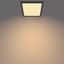 import_8719514326644_2