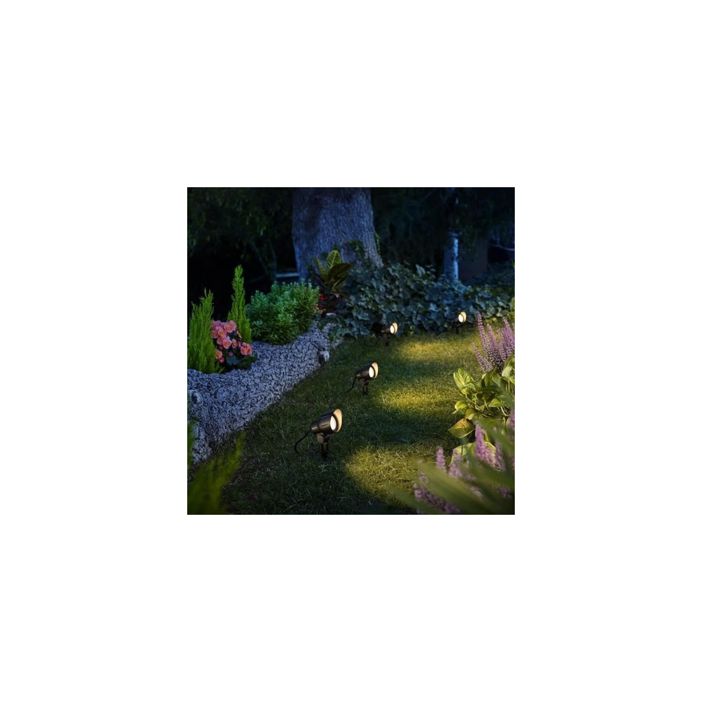 import_8719514477094_2