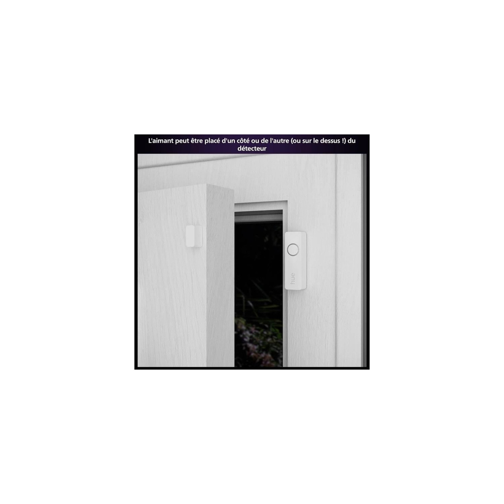 import_8719514487345_2