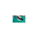 import_8720389013751_3