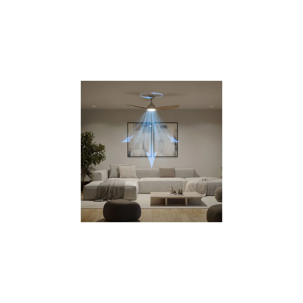 import_8721103095923_2