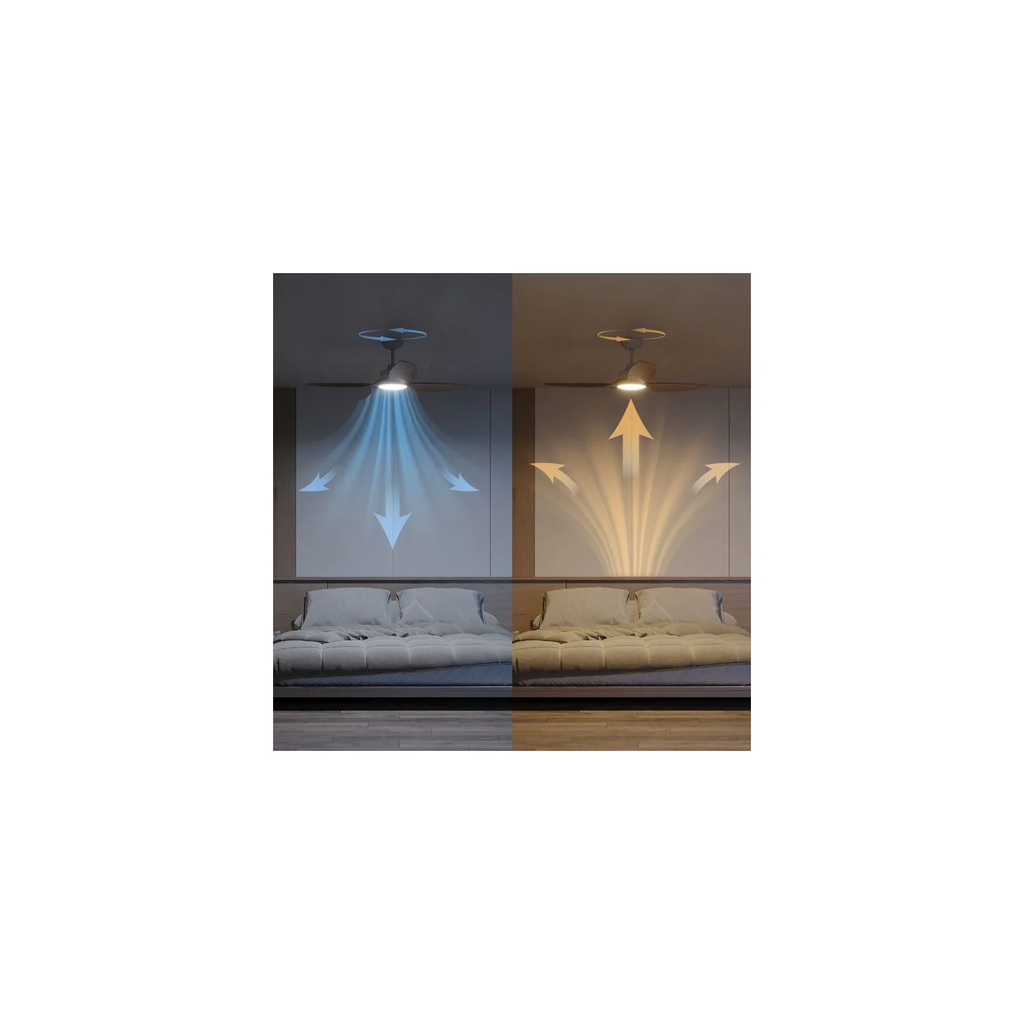 import_8721103095923_4