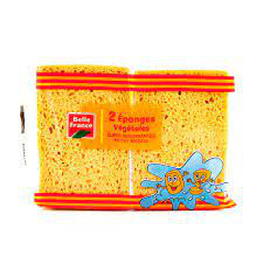 import_3258561510835_1
