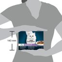import_7613034997661_10