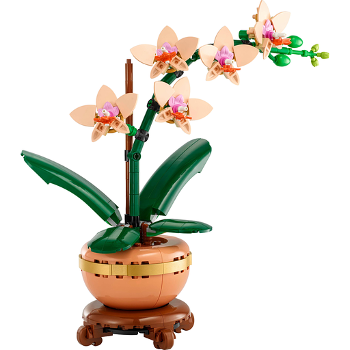 import_5702017814643_5