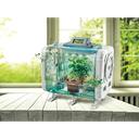 import_8005125528189_5