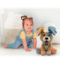 import_8005125529353_6