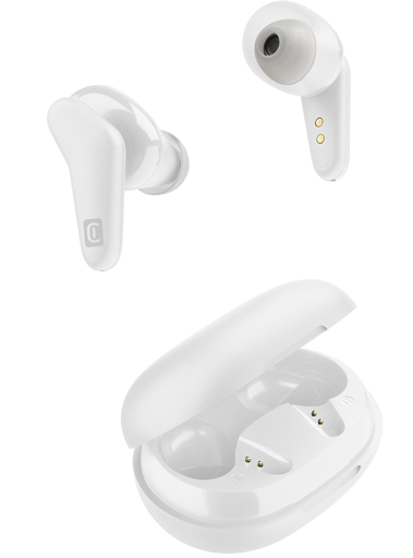 import_8018080386701_1