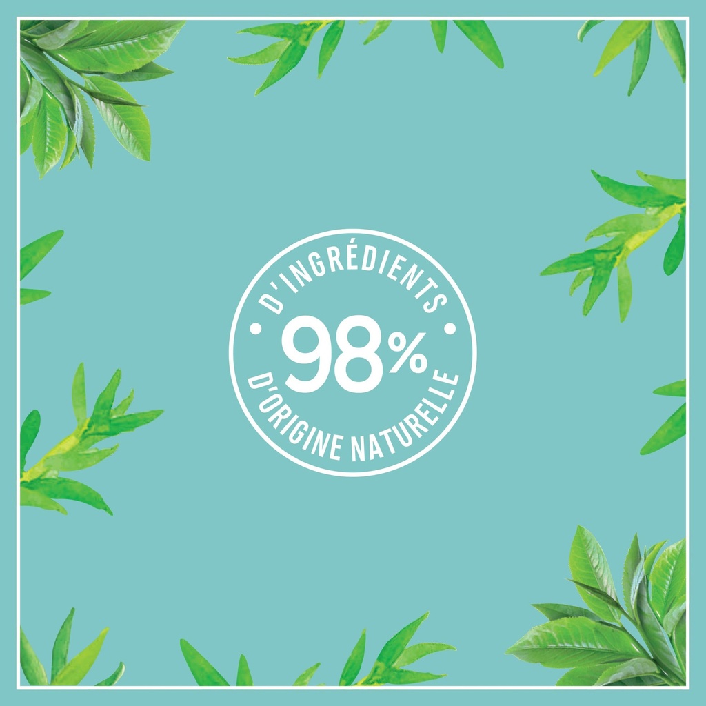 Le P'Tit Marseil'Ais Lpm Shp Reveil Detox Infusion Thym The Vert Bio 250Ml