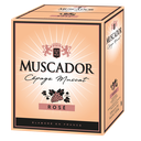 import_3438931000597_1